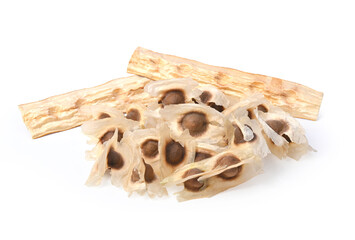 Moringa Oleifera seed dried from Moringa tree on white background