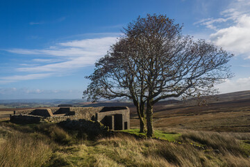 Walking from Haworth to Top Withens and Wuthering Heights - obrazy, fototapety, plakaty