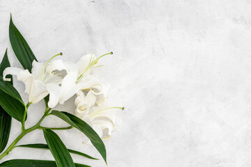 Branch of white lilies flowers. Mourning or funeral background