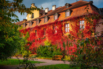 The autumn scenery of the park in Gdansk with a wall covered with red ivy leaves. Poland