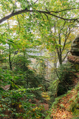 Idyllic and panoramic view of Czech Republic, National Park, Bohemian Switzerland, České Švýcarsko