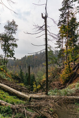 Idyllic and panoramic view of Czech Republic, National Park, Bohemian Switzerland, Česk&eacute; &Scaron;v&yacute;carsko