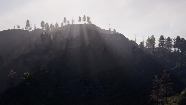 Sidehill Sidehill Images – Browse 1,016 Stock Photos, Vectors, and Video | Adobe ...