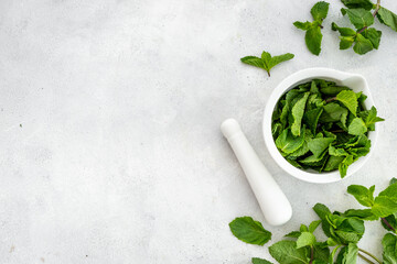 Healing herbs - green mint leaves in mortar for medicine