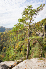 Idyllic and panoramic view of Czech Republic, National Park, Bohemian Switzerland, České Švýcarsko