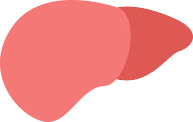 Illustration liver. Healthy and medicine. Flat design concept. PNG