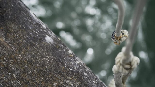 part of some ropes of the bridge and the sea in new chums beach, new zealand 
