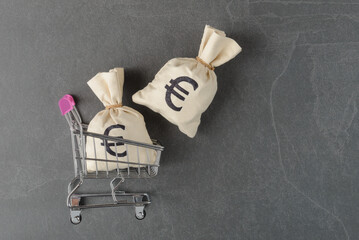 Moneybags with Euro and USD symbols in shopping cart on grey stone background with copy space