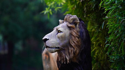 Selective focus and close up face of Lion