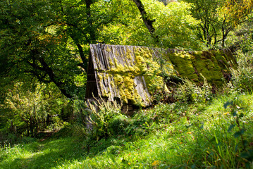 Abandoned wooden shed covered with moss surrounded by green grass and trees on a farm in the Ukrainian Carpathians