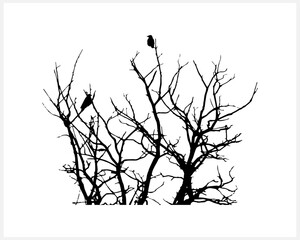Silhouette for halloween Crows sitting on a tree in winter or autumn forest Dry tree Doodle engraving Vector stock illustration EPS 10