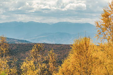 Fototapeta premium autumn in the mountains