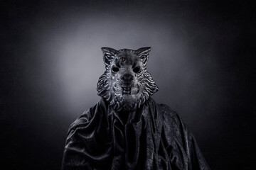 Wolf in cloak at night over dark misty background