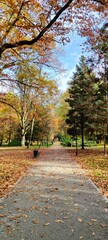 path in autumn park
Jesień w parku