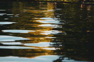 the reflection of light in the sheen of water.