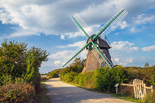 Windm&uuml;hle Charlotte, Erdholl&auml;nder von 1826, Geltinger Birk, Nieby, Schleswig-Holstein, Ostsee, Deutschland