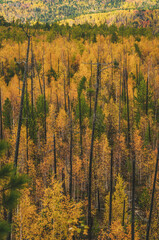 autumn in the mountains