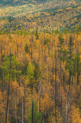 autumn in the mountains