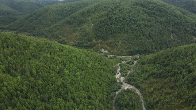 View from above. Zeya Nature Reserve in summer. A creek dug by gold miners in a ravine. Destruction of forests and rivers. Ecological catastrophy. Industrial mining of alluvial gold.