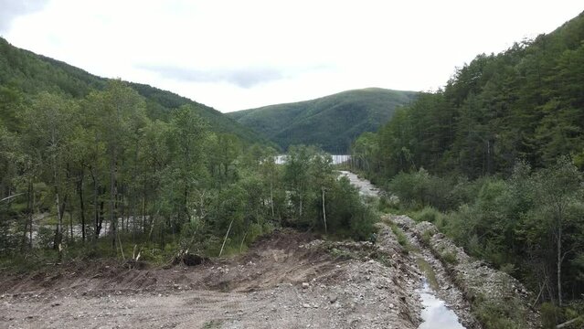 View from above. Zeya Nature Reserve in summer. The bed of a large river, polluted by gold miners, flows into a protected lake. An ecologist walks along an open stream.