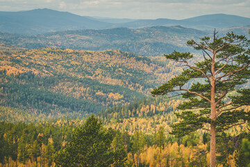 landscape with mountains