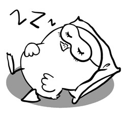 Sleepy Duck