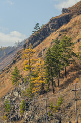 autumn in the mountains