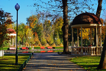 Recreation lake in the park