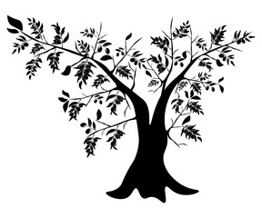 black and white tree silhouette