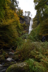 Fototapeta na wymiar the tall Pistyll Rhaeadr waterfall in north wales from the bottom of it