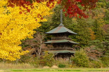 Fototapeta premium 紅葉と三重塔