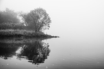 Reflection of tree  on the shore of lake with misty weather