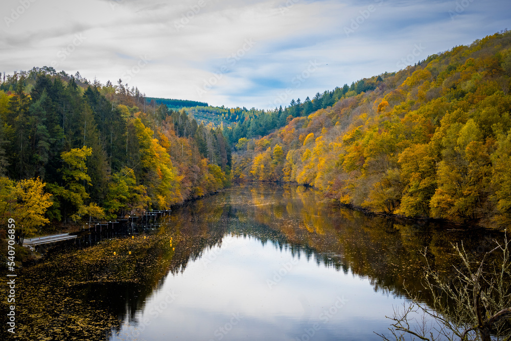 Wall mural view on the river ourthe in national park two ourthes in wallonia, belgium.