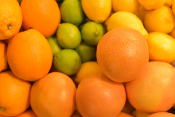 Rows of oranges on the counter