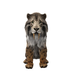 3D rendering of a Smilodon, the extinct pre-historic Sabre-tooth tiger