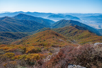 지리산 노고단 단풍  