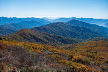 지리산 노고단 단풍 