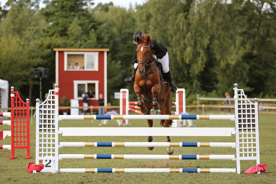A girl and her horse in show jumping, Gotland Sweden.