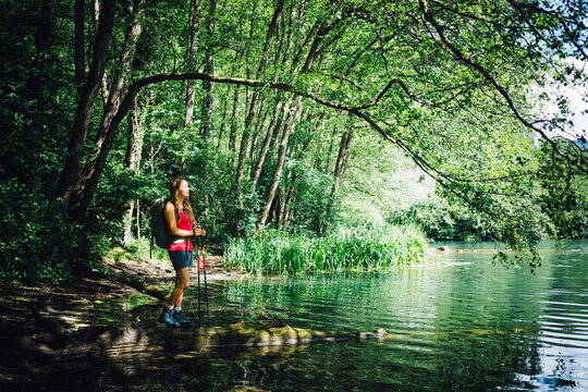 Hiker standing under tree by Lake Levico