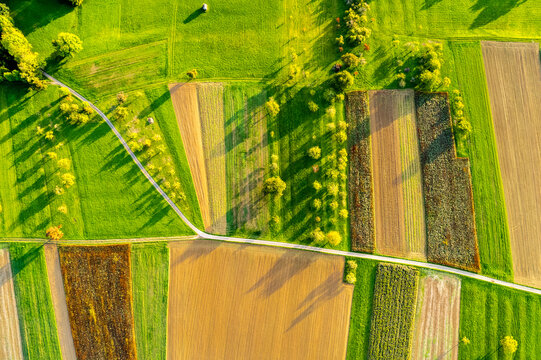 Germany, Baden-Wurttemberg, Drone view of autumn fields in Rems Valley