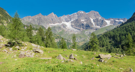 The panorama of peaks Punta Gnifetti or Signalkuppe, Parrotspitze, Ludwigshohe, Piramide Vincent -...