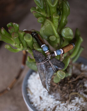 Serrated shark tooth necklace hanging from plant