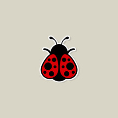 cartoon colorful ladybug illustration