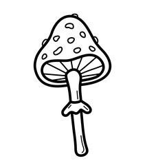 Poisonous fly agaric. Hand drawn sketch icon of amanita. Isolated vector illustration in doodle line style.