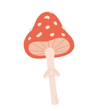 recommend clip art: Fly agaric. Cute amanita with red hat and white spots. Hand-drawn colored flat vector illustration isolated on white background.