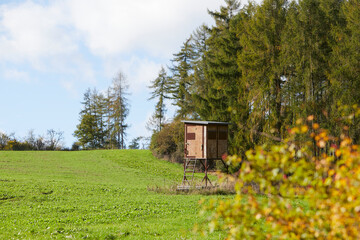 hunter seat at the edge of a meadow and a forest