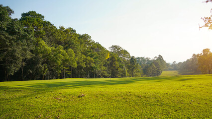 Beautiful golf course in a sunny day. Background evening golf course has sunlight shining down. Golf course in the countryside
