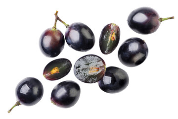 Grapes flying on a white background. Isolated