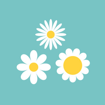 Three daisy chamomile set. White camomile icon. Cute flower plant collection. Love card. Cartoon kawaii funny character. Growing concept. Flat design. Green background.