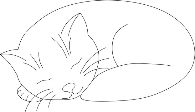 The cat is sleeping. Coloring page with a cute pet.